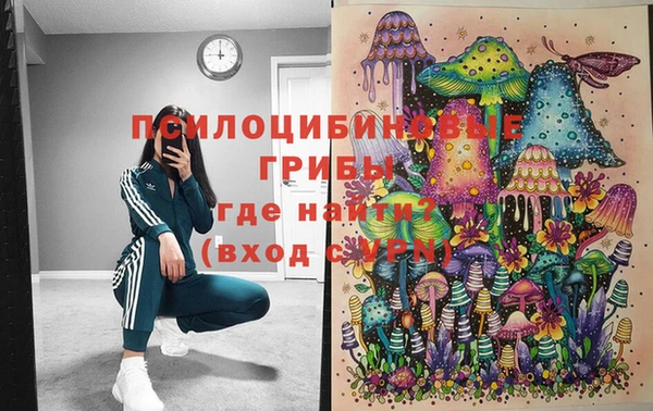гашиш Абаза