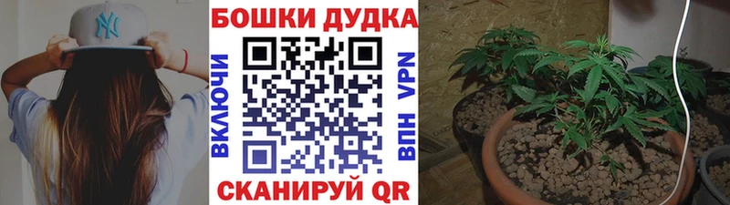 Конопля конопля  хочу   Мурино 